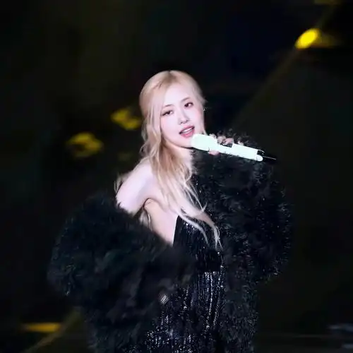 朴彩英一些演唱会的绝美照片