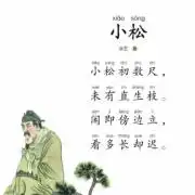 宝子读小松王建带赏析