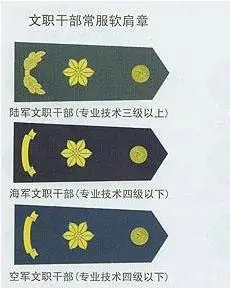 军网:军人明星不应自称将军 应有正确荣誉观 文职干部不授军衔,何来"