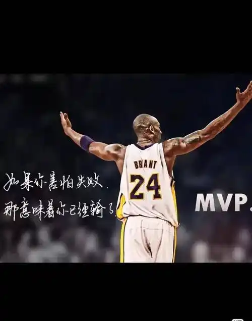 科比励志演讲稿_nba_斯台普_灯光