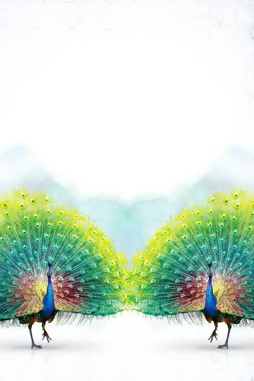 简约唯美孔雀开屏psd素材