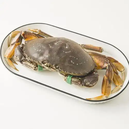 【供货商直发】加拿大鲜活珍宝蟹 700-800g