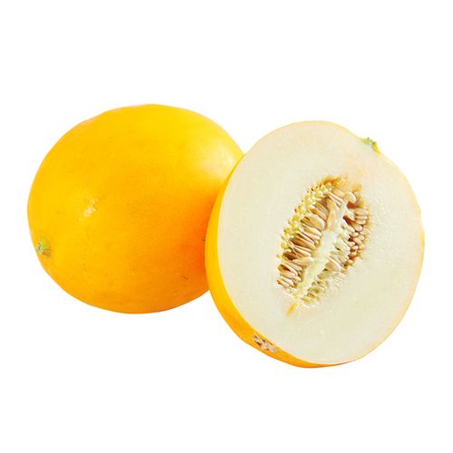 (今日10折)山东黄金蜜瓜(称重) 约1500g/粒—甜瓜