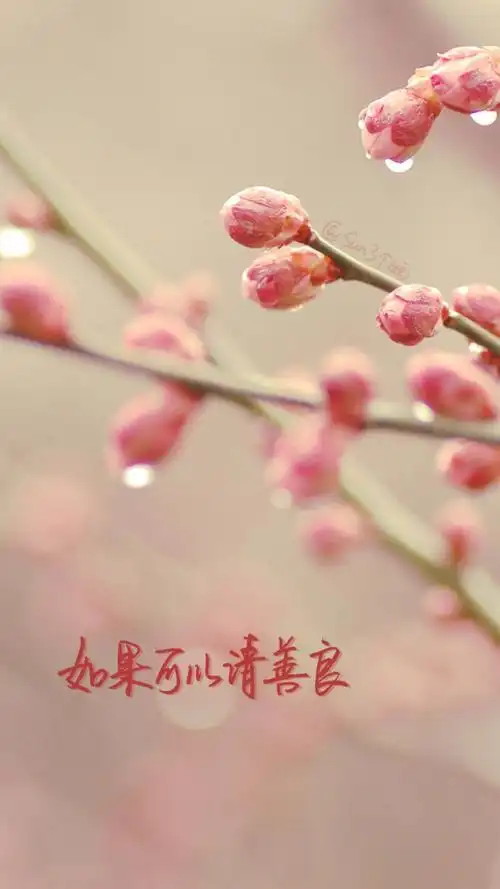 自制壁纸 文字 句子 温暖 治愈 清新 正能量 励志 iphone 6壁纸(图片