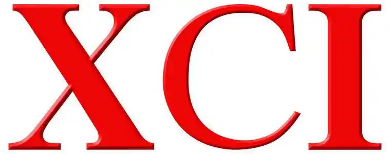 联合国大学罗马数字 xci et nonaginta,91,九十一个孤立 o照片