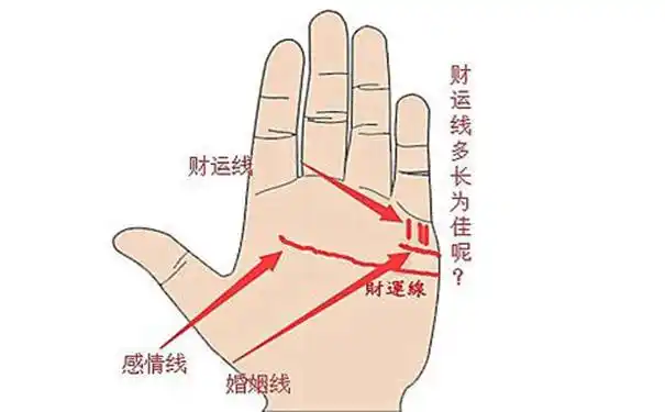 这些都是发财手相图看看你有没有