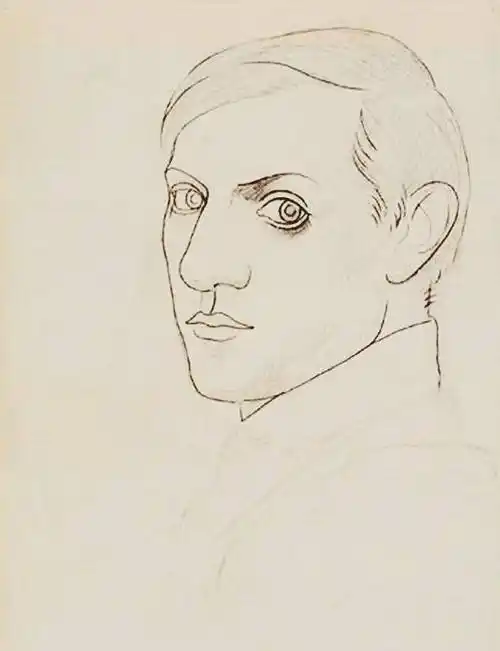 艺术大师毕加索线条绘画作品