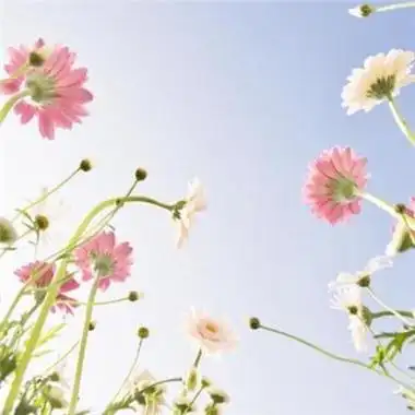 好运的图片微信头像女-腾牛个性网 - 易云微信头像 男女个性唯美意境