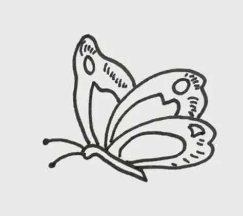 蝴蝶简笔画儿童画简单 蝴蝶简笔画步图教程_简笔画-绘画者图库