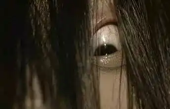 伊桑·霍克是一名真实犯罪小说家,他带着自己的家人搬进了一所房子,在