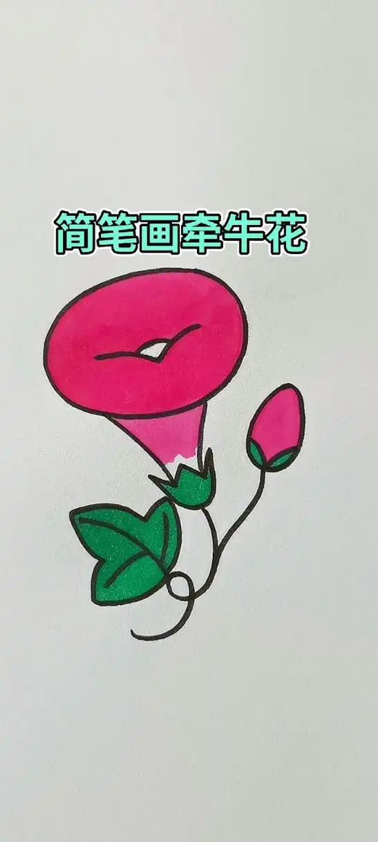 简笔画牵牛花