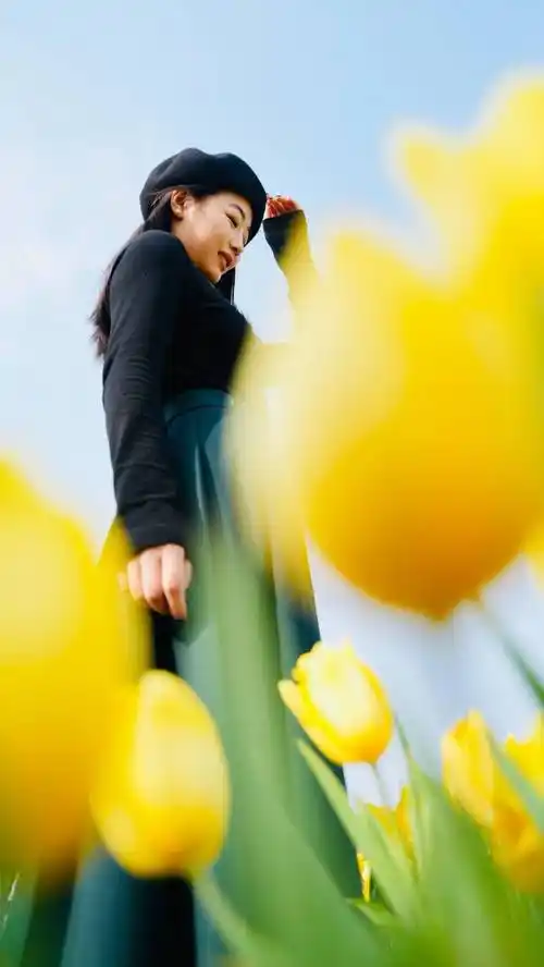 到底谁没来_郁金香_花海_郑源