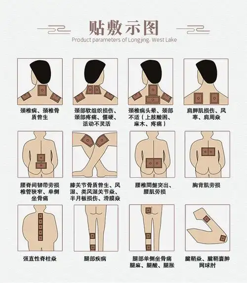 圣草康骨贴古官网安贴圣草康骨贴归元筋骨宁百年淮盛唐堂筋骨贴一片