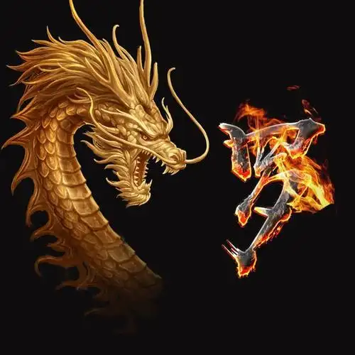 霸气火焰龙姓氏微信头像进来看看有没有你的姓氏赶紧领走