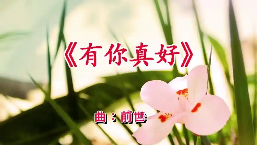 亲爱的有你真好轻轻地对你说我爱你