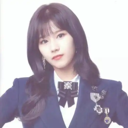 凑崎纱夏头像拿图收藏二传标明堆糖郑修言