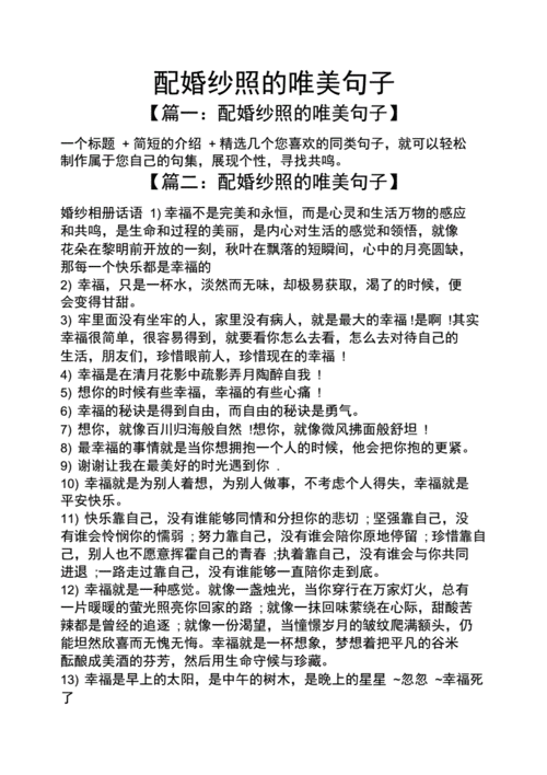 配婚纱照的唯美句子docx6页