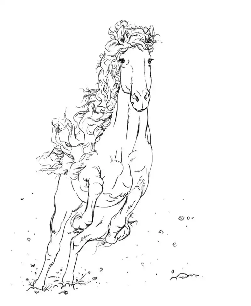 线描的马,工笔画参考资料(5).