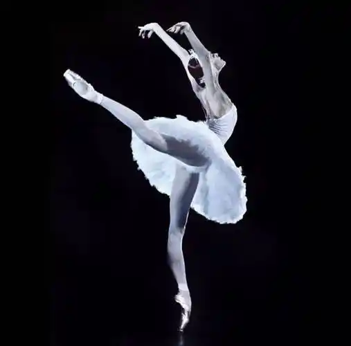 当"首席舞者"变成摄影师!最懂舞蹈中那些惊心动魄的唯美瞬间!