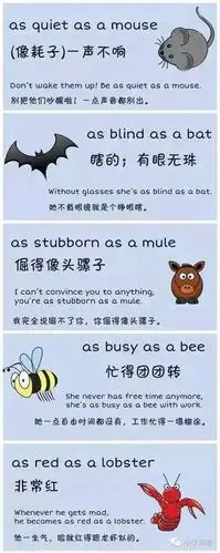 趣味英语|这50个常用的英语习语,你知道多少?