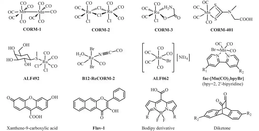 功能高分子学报