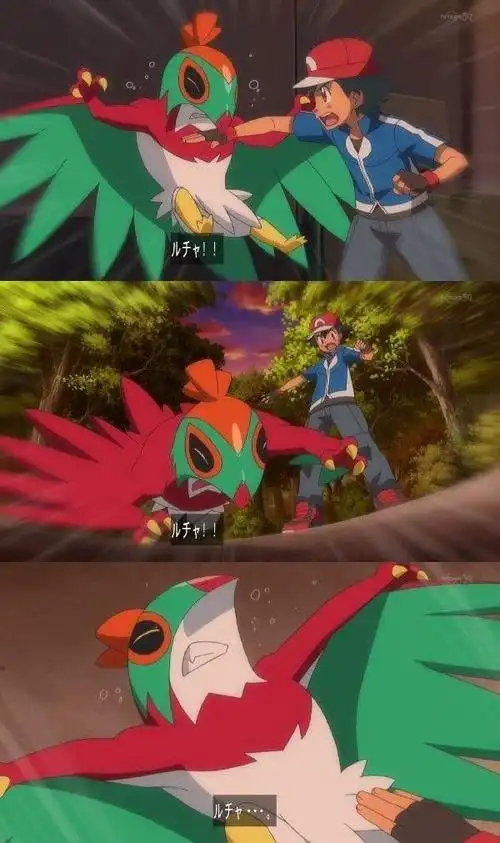 精灵宝可梦战斗飞鸟的简笔画