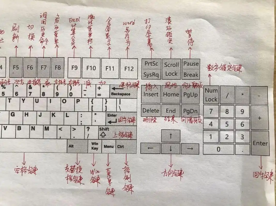 零基础学电脑,键盘功能详细中文图解 手把手带你认识键盘,键盘功能