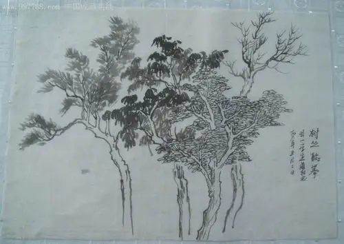 树丛临摹,素描/速写,铅笔画原画,山水,六十年代(20世纪),8开_第1张
