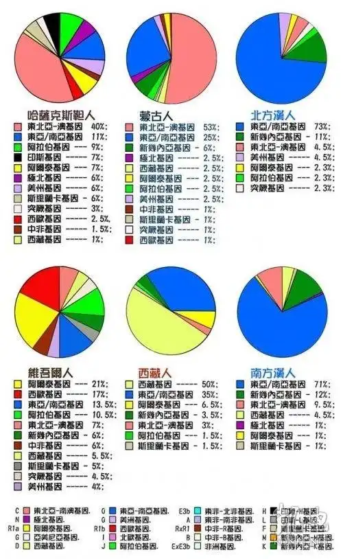 世界人种分布