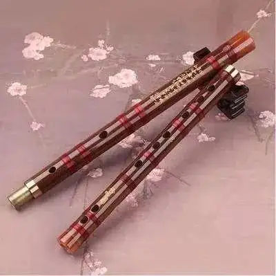 中国传统文化 | 传承民乐精髓,感受民乐文化_乐器