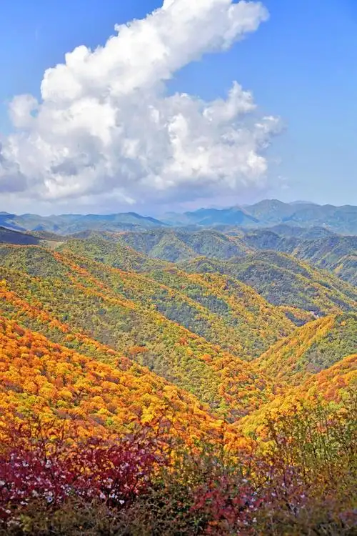 六盘山最美秋色_隆德县人民政府