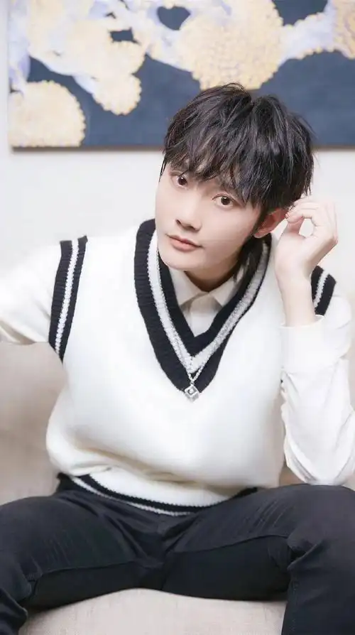 手机壁纸r1se刘也