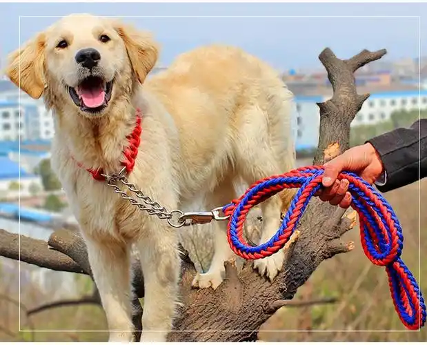 拴狗绳套脖 拴狗绳套脖大型德牧防冲爆加粗巨贵柴子牵引哈士奇专用