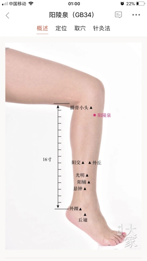 抽动症刮痧方案