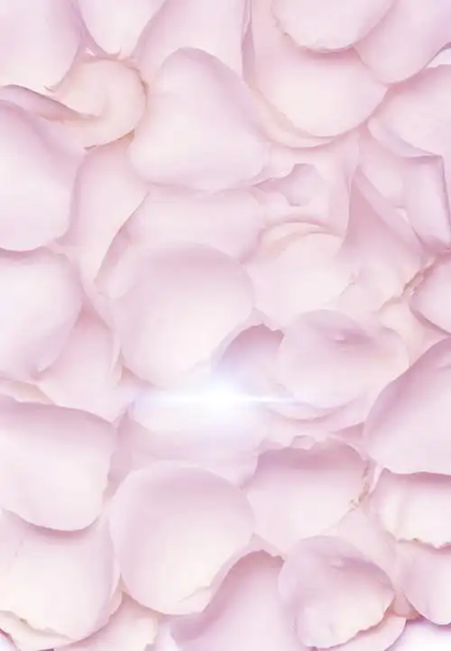 美容化妆品海报背景免抠素材免费下载_觅元素51yuansu.com