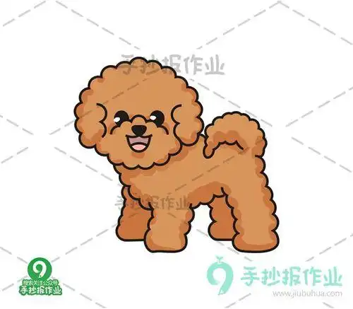 泰迪狗简笔画图解