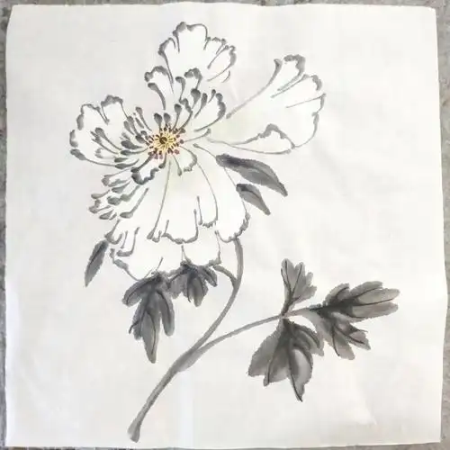 学画打卡双勾白牡丹