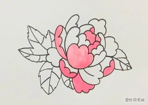 牡丹花简笔画