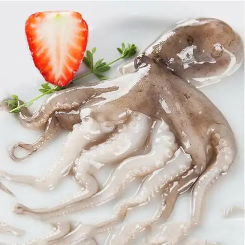 赛卡伊新鲜八爪鱼海鲜鲜活水产火锅食材大章鱼爆头鲜活