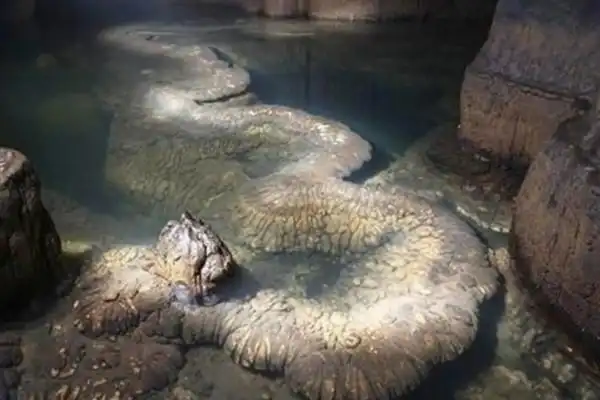 昆仑山真龙吃人照片,冰封真龙噬人(纯属是谣言) — 探灵网