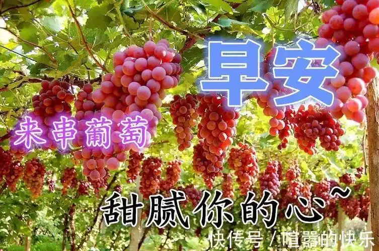 清晨最新好看的早安图片带字推荐 漂亮的早上好问候语图片精选