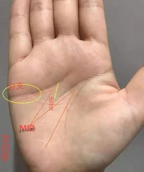 有玉柱纹的女人手相命苦吗 玉柱纹到感情线错开往上升