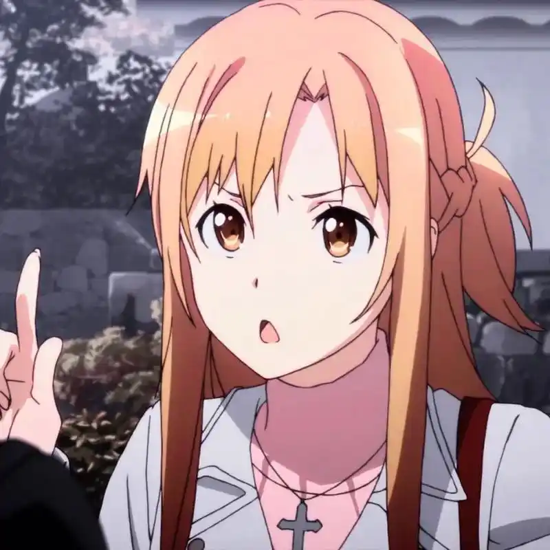 《刀剑神域》结城明日奈x桐谷和人,动漫头像情头,自剪分享