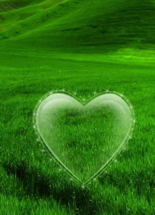 高清微信护眼图