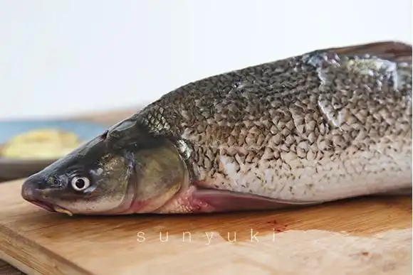 三峡鱼·淡水银鳕鱼(活)-故事