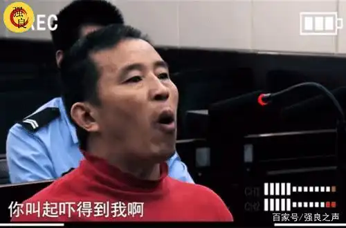 "面对审批长几次的询问,犯人始终嚣张跋扈,大放厥词.