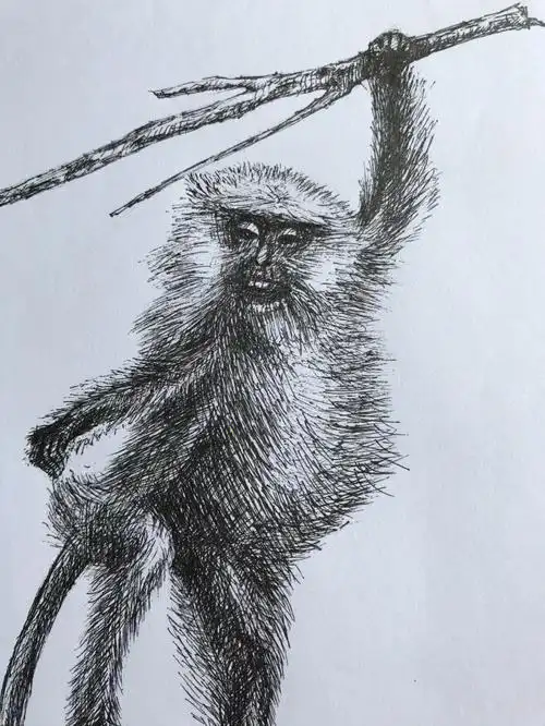 祝书友们 不急不躁 万事顺意#绘画日常  #静物素描  #我的日常  #手写