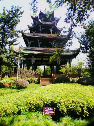 望江公园同学会