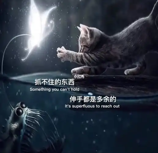 抓不住的东西伸手都是多余的