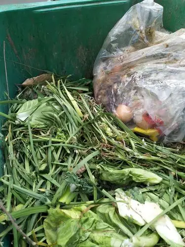 厨余垃圾分类记——走进惠济区北郡三期